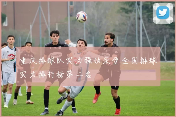 重庆排球队实力强劲荣登全国排球实力排行榜第二名