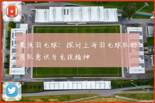 聚焦羽毛球：探讨上海羽毛球队的团队意识与竞技精神